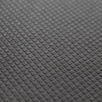 boden-mit-anti-rutschbelag-saris-32-200h.jpg